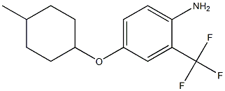 4-[(4-methylcyclohexyl)oxy]-2-(trifluoromethyl)aniline Struktur