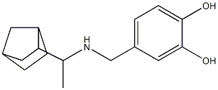 4-{[(1-{bicyclo[2.2.1]heptan-2-yl}ethyl)amino]methyl}benzene-1,2-diol Struktur