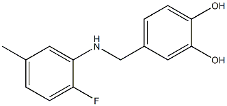 4-{[(2-fluoro-5-methylphenyl)amino]methyl}benzene-1,2-diol Struktur