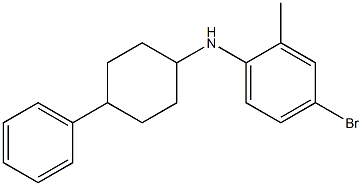 4-bromo-2-methyl-N-(4-phenylcyclohexyl)aniline Struktur