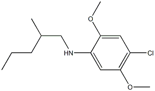 4-chloro-2,5-dimethoxy-N-(2-methylpentyl)aniline Struktur