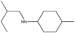 4-methyl-N-(2-methylbutyl)cyclohexan-1-amine Struktur