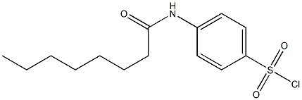 4-octanamidobenzene-1-sulfonyl chloride Struktur