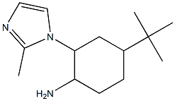 4-tert-butyl-2-(2-methyl-1H-imidazol-1-yl)cyclohexanamine Struktur