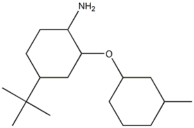 4-tert-butyl-2-[(3-methylcyclohexyl)oxy]cyclohexan-1-amine Struktur