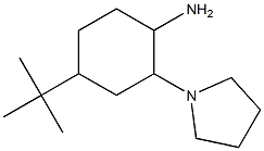 4-tert-butyl-2-pyrrolidin-1-ylcyclohexanamine Struktur