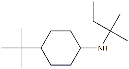 4-tert-butyl-N-(2-methylbutan-2-yl)cyclohexan-1-amine Struktur