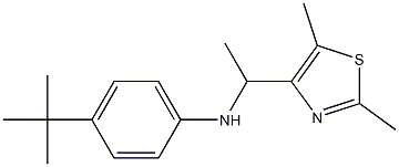 4-tert-butyl-N-[1-(2,5-dimethyl-1,3-thiazol-4-yl)ethyl]aniline Struktur