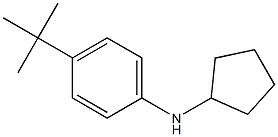 4-tert-butyl-N-cyclopentylaniline Struktur