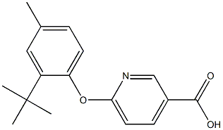 6-(2-tert-butyl-4-methylphenoxy)pyridine-3-carboxylic acid Struktur