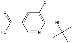 6-(tert-butylamino)-5-chloropyridine-3-carboxylic acid Struktur