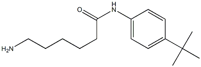 6-amino-N-(4-tert-butylphenyl)hexanamide Struktur