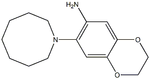 7-(azocan-1-yl)-2,3-dihydro-1,4-benzodioxin-6-amine Struktur