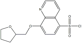 8-(oxolan-2-ylmethoxy)quinoline-5-sulfonyl chloride Struktur