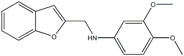 N-(1-benzofuran-2-ylmethyl)-3,4-dimethoxyaniline Struktur