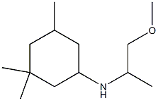 N-(1-methoxypropan-2-yl)-3,3,5-trimethylcyclohexan-1-amine Struktur