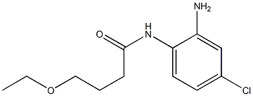 N-(2-amino-4-chlorophenyl)-4-ethoxybutanamide Struktur