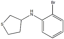 N-(2-bromophenyl)thiolan-3-amine Struktur