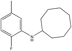 N-(2-fluoro-5-methylphenyl)cyclooctanamine Struktur