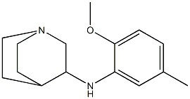 N-(2-methoxy-5-methylphenyl)-1-azabicyclo[2.2.2]octan-3-amine Struktur