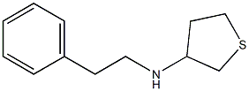 N-(2-phenylethyl)thiolan-3-amine Struktur