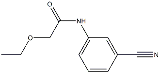 N-(3-cyanophenyl)-2-ethoxyacetamide Struktur