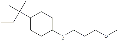 N-(3-methoxypropyl)-4-(2-methylbutan-2-yl)cyclohexan-1-amine Struktur