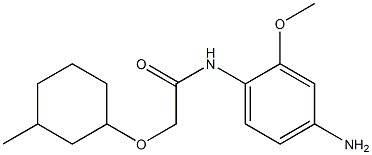 N-(4-amino-2-methoxyphenyl)-2-[(3-methylcyclohexyl)oxy]acetamide Struktur