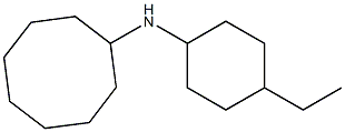 N-(4-ethylcyclohexyl)cyclooctanamine Struktur