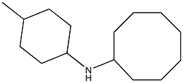 N-(4-methylcyclohexyl)cyclooctanamine Struktur