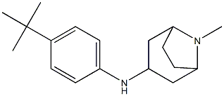 N-(4-tert-butylphenyl)-8-methyl-8-azabicyclo[3.2.1]octan-3-amine Struktur