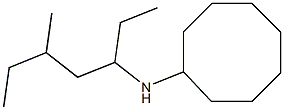 N-(5-methylheptan-3-yl)cyclooctanamine Struktur