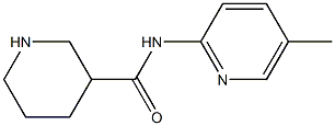 N-(5-methylpyridin-2-yl)piperidine-3-carboxamide Struktur