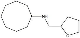 N-(oxolan-2-ylmethyl)cyclooctanamine Struktur