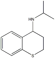 N-(propan-2-yl)-3,4-dihydro-2H-1-benzothiopyran-4-amine Struktur