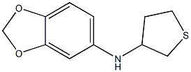 N-(thiolan-3-yl)-2H-1,3-benzodioxol-5-amine Struktur