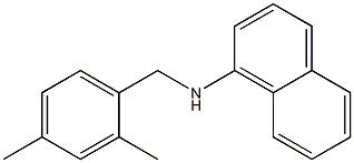 N-[(2,4-dimethylphenyl)methyl]naphthalen-1-amine Struktur