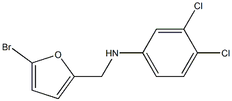 N-[(5-bromofuran-2-yl)methyl]-3,4-dichloroaniline Struktur