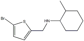 N-[(5-bromothiophen-2-yl)methyl]-2-methylcyclohexan-1-amine Struktur