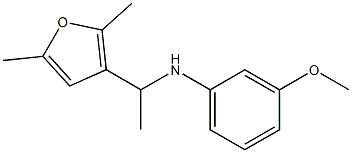 N-[1-(2,5-dimethylfuran-3-yl)ethyl]-3-methoxyaniline Struktur