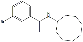 N-[1-(3-bromophenyl)ethyl]cyclooctanamine Struktur