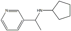 N-[1-(pyridin-3-yl)ethyl]cyclopentanamine Struktur