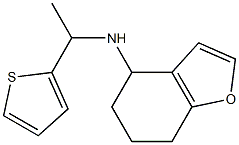 N-[1-(thiophen-2-yl)ethyl]-4,5,6,7-tetrahydro-1-benzofuran-4-amine Struktur