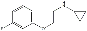 N-[2-(3-fluorophenoxy)ethyl]cyclopropanamine Struktur