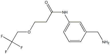 N-[3-(aminomethyl)phenyl]-3-(2,2,2-trifluoroethoxy)propanamide Struktur