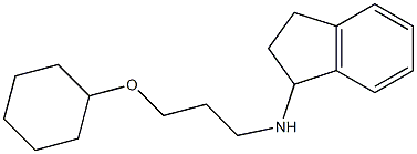 N-[3-(cyclohexyloxy)propyl]-2,3-dihydro-1H-inden-1-amine Struktur