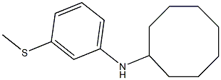 N-[3-(methylsulfanyl)phenyl]cyclooctanamine Struktur