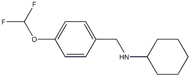 N-{[4-(difluoromethoxy)phenyl]methyl}cyclohexanamine Struktur