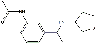 N-{3-[1-(thiolan-3-ylamino)ethyl]phenyl}acetamide Struktur