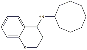 N-cyclooctyl-3,4-dihydro-2H-1-benzothiopyran-4-amine Struktur